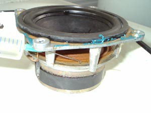 dinamic79-5.jpg