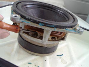 dinamic79-10.jpg