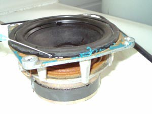 dinamic79-6.jpg