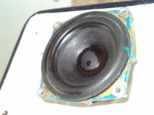 dinamic79-7.jpg