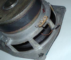 dinamic79-3.jpg