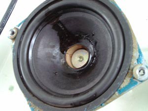 dinamic79-9.jpg