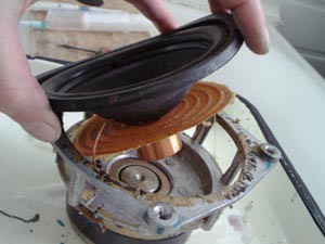 dinamic79-11.jpg